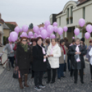 Egészség Hídja Összefogás - Lajtahidi séta