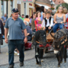 Kult Gála a Kult-Utcában (Fotó: Horváth Attila)