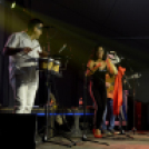 XII. Szigetköz ízei, Vármegye borai Fesztivál 2. nap