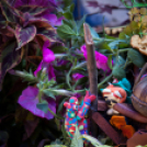 Apró kezek, Csodakertek - IX. Gyermek Kertépítő Verseny