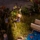 Apró Kezek, Csodakertek