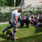 Az Ebuló Kutyaiskola interaktív kutyás bemutatója a Pillangó óvodában (Fotó: Stipkovits Veronika)