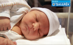 Gráczol Zsolt, Mosonmagyaróvár