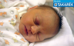 Kovács Hanna, Mosonmagyaróvár