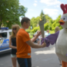 Fáklyafutás, XIV. Európai Ifjúsági Olimpiai Fesztivál Győr 2017 