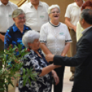 Legszebb konyhakertek (Fotó: Nagy Mária)