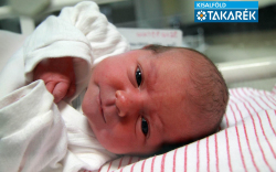 Benitsch Csenge, Máriakálnok