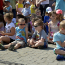 VII. Apró kezek, csodakertek Gyermek Kertépítő verseny