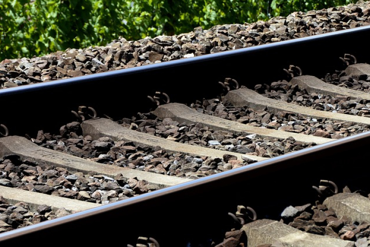 Kidőlt fa akadályozza a vonatközlekedést a Győr-Veszprém vonalon