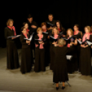 Jótékonysági műsor a Fehér Ló Közösségi Ház-ban (fotó: Horváth Attila)