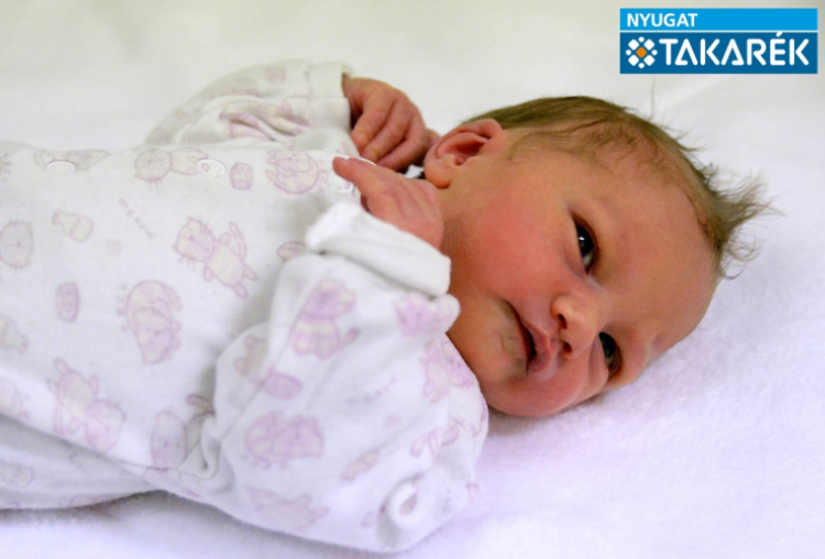 Csapó Jázmin, Halászi