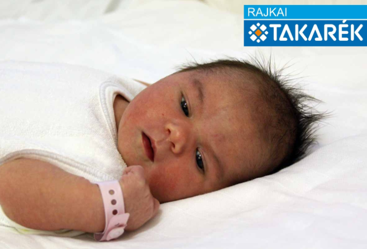 Németh-Mölczner Hanna, Mosonmagyaróvár