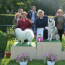 CAC kutyakiállítás (Fotó: Nagy Mária)