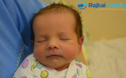 Czér Hunor, 2580 gr. Hédervár