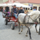 Kult-utca fesztivál (Fotó: Nagy Mária)