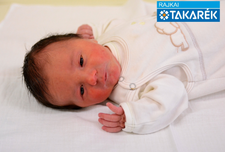 Bejczi Alexander, Mosonmagyaróvár