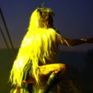 Voluta 1 nap (Fotó: Stipkovits Veronika és Bánhegyi István)