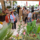 Legszebb konyhakertek (Fotó: Nagy Mária)