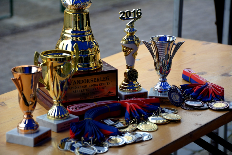 VI. Apró kezek, Csodakertek Gyermek Kertépítő verseny (Fotó: Bánhegyi István)