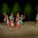 Jótékonysági műsor - Fehér és Máltai Szeretetszolgálat az Éltes iskola javára (Fotó: Horváth Attila)