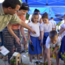 VII. Apró kezek, csodakertek Gyermek Kertépítő verseny
