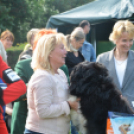 CAC kutyakiállítás (Fotó: Nagy Mária)