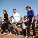 XV. Greiner Szigetköz Félmaraton