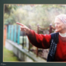 Szűk Ödön emlékkiállítás megnyítója