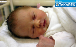 Anghelyi Mendi Virág, Rajka