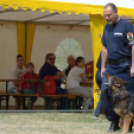 4. Kéklámpás Nap (Fotó: Horváth Attila)