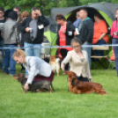 CAC kutyakiállítás (Fotó: Nagy Mária)