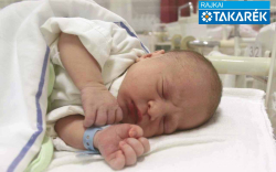 Welter Márk, Malomsok