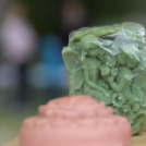 4. Kéklámpás Nap (Fotó: Horváth Attila)