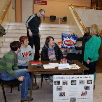 Jótékonysági koncert a Menedék Állatvédő Alapítvány részére (Fotó: Horváth Attila)