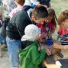 Szigetköz ízei, vármegye borai fesztivál / VÁRMEGYE SZÉPE - VÁRMEGYE HANGJA (Fotó: Horváth Attila)