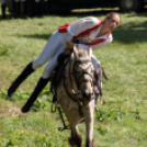 XII. Szigetköz ízei, Vármegye borai Fesztivál 2. nap