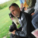 Agility - Hobby Kutyások részére (Fotó: Nagy Mária)