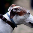 XI. Szigetköz ízei, Vármegye borai Fesztivál 3. nap