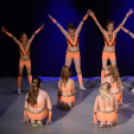 Jótékonysági Műsor