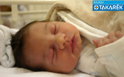 Tóth Kira, Kapuvár