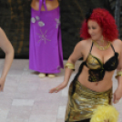 2014 Sport és Egészségnap