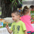 Pillangó Óvoda lovas nap és piknik (Fotó: Stipkovits Veronika)