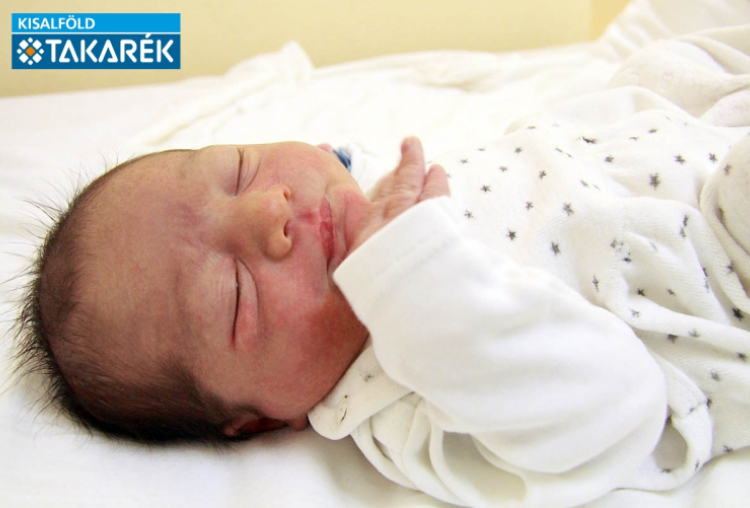 Bieber Péter, Mosonmagyaróvár