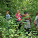 Szemétszedés a Kiserdőben (Fotó: Nagy Mária)