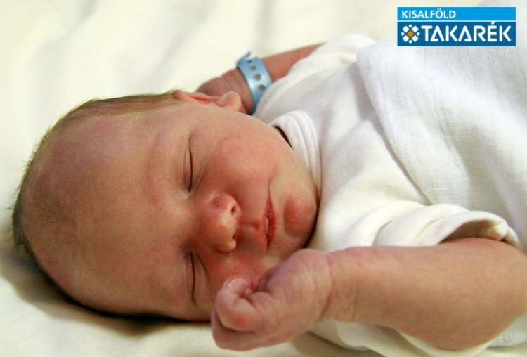 Szeberin Hunor, Mosonmagyaróvár