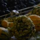 Legszebb konyhakertek (Fotó: Nagy Mária)