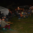 Szigetköz ízei, vármegye borai fesztivál - péntek (Fotó: Nagy Mária)