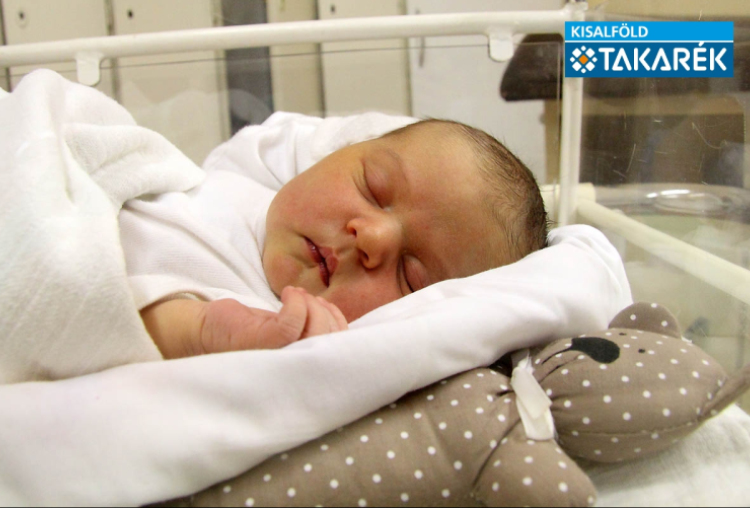 Cikhart Maja, Mosonmagyaróvár