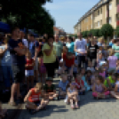 VII. Apró kezek, csodakertek Gyermek Kertépítő verseny