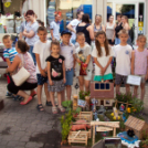 Apró Kezek, Csodakertek